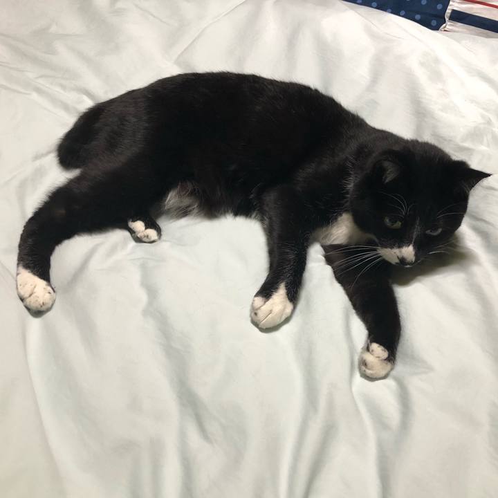 249228de 9a0a 420f 839a ab37df0de617 1620050568231