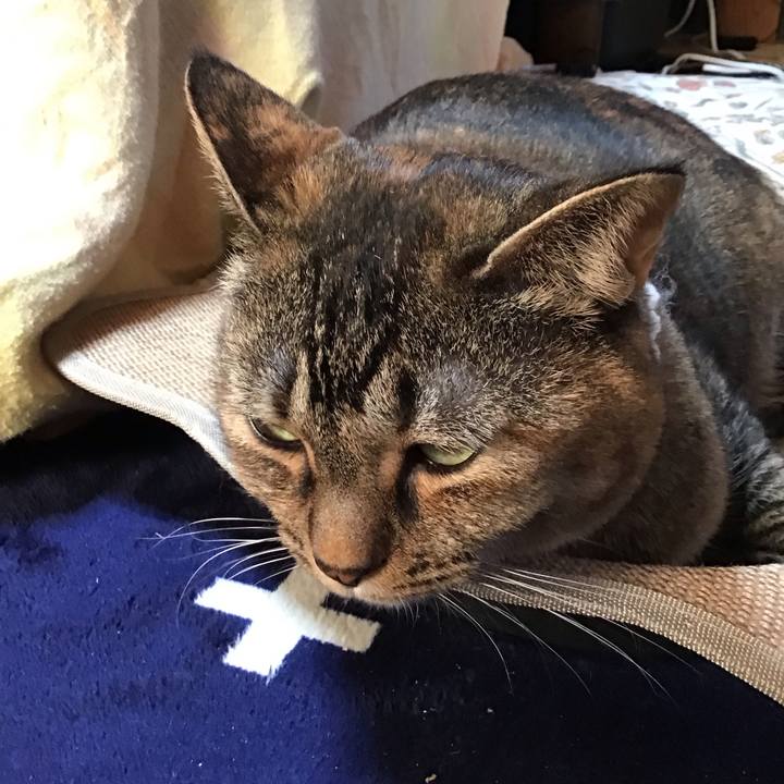 24922e60 9058 4199 93e0 a7e59aeeb8d7 1737200381554