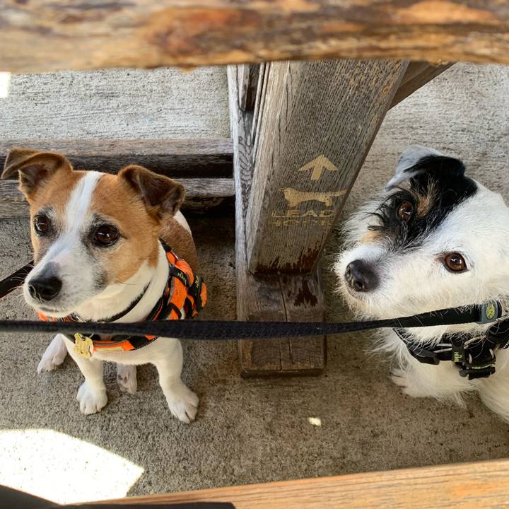 24924e5b 8f1f 4099 a636 6d0c23817776 1584595438224