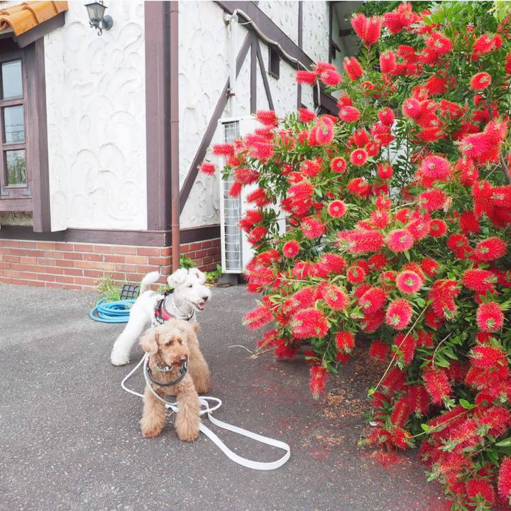 24924fec d051 43f0 a574 b1cbe146bdba 1559438150398