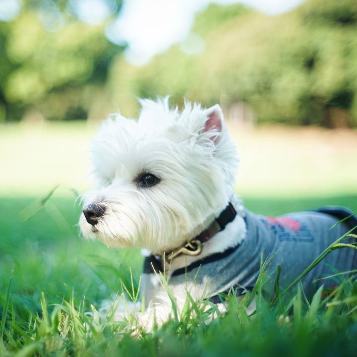 249259ca d5f6 43ee 8cb8 5479b4350da7 1533902180465