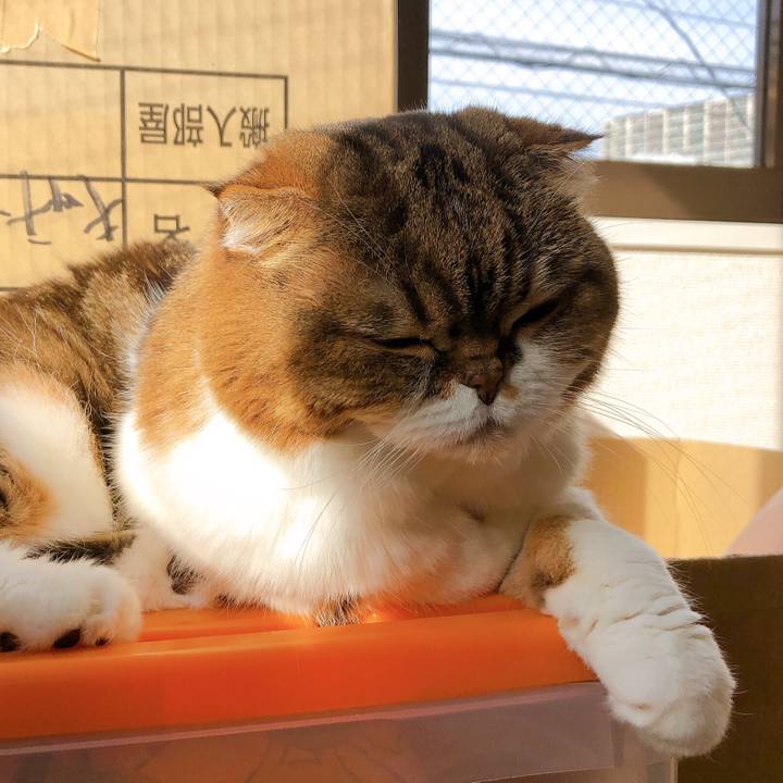 24928323 7031 4201 9ef0 e77fe062f171 1573105867934