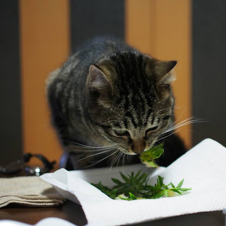 24928577 b821 4be2 8280 9289129f10c5 1519475680007