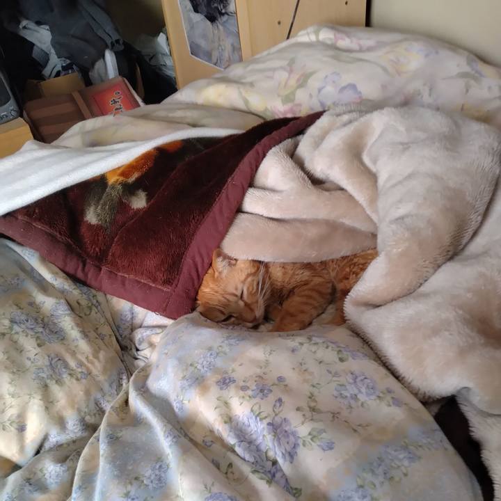 24929716 80fa 46dd 96f7 17ab975cb984 1712219958027