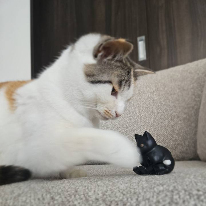 2492e7e1 6824 4383 bf2d dc773ebc031c 1772257801547