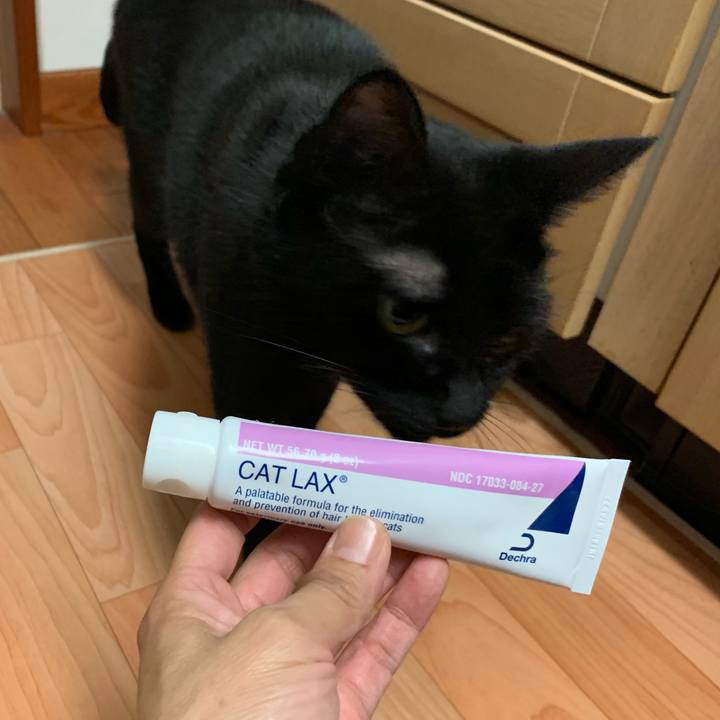 2492ecbb c7e9 414f a47d 8a50c988ebd2 1570024723822