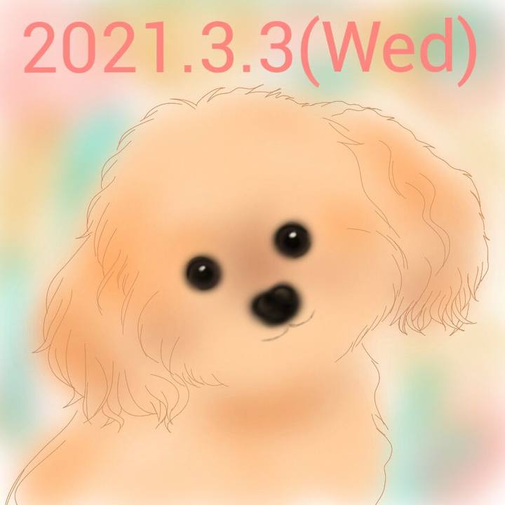 2492ed75 875b 49c4 8d65 7bec2076e478 1614780272935