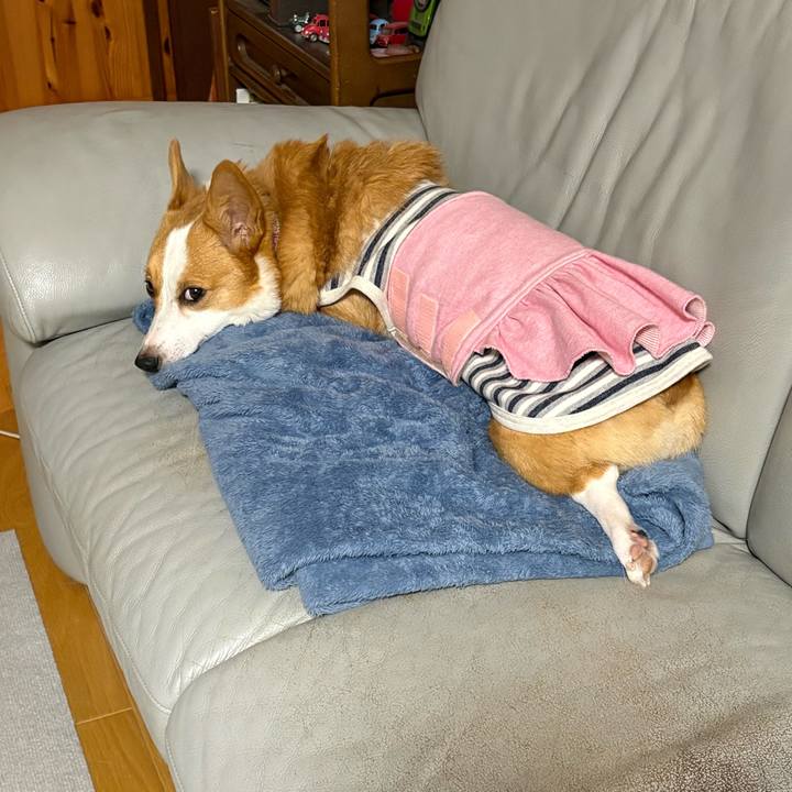 2492fcb5 1a46 4886 b8e1 3eb477552bcb 1770728021256