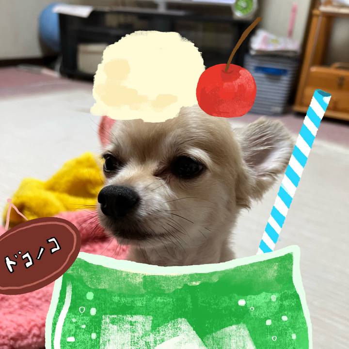 24930600 b645 4b91 8f78 92f8dead31f4 1755227217184