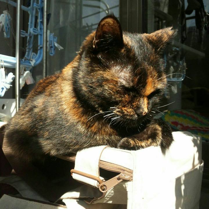 24932dbf ed3c 43c1 a702 1c3086c0de30 1560320960246