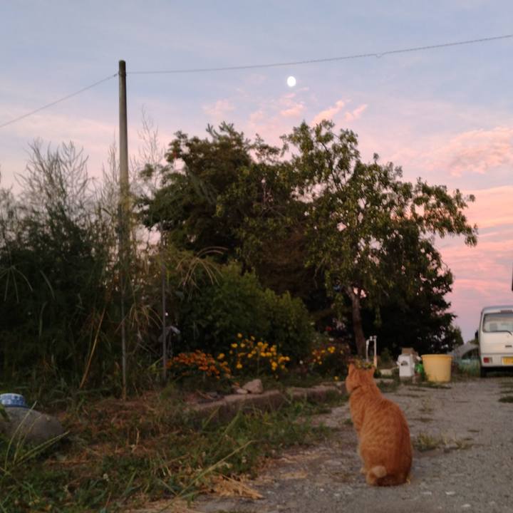 24933848 02f3 43a6 857d 76e1863675c8 1693611100378