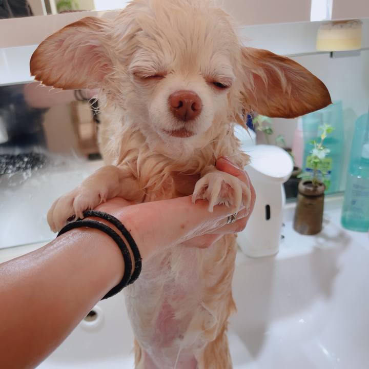 24936755 5643 43b4 871b 9fd5cd1468f7 1765796046922