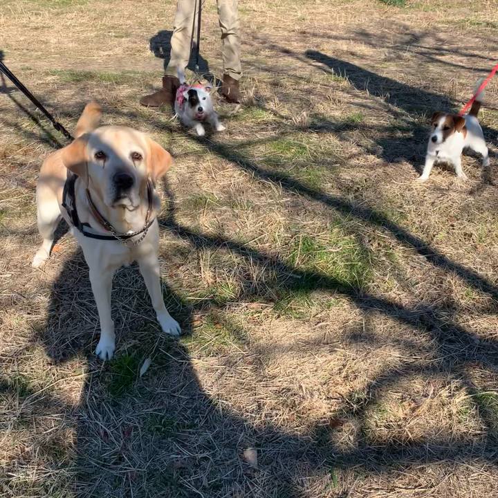 2493842f b27b 4f61 aa85 3d865668ad71 1672795737632