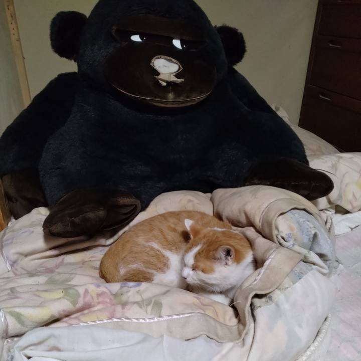 24938446 e6e3 4a7d b810 d33df8c819b1 1761722331516