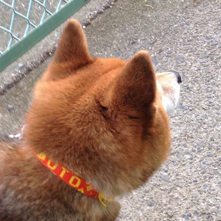 2493893f 2421 4265 ad0d 2011509e1631 1525948063266