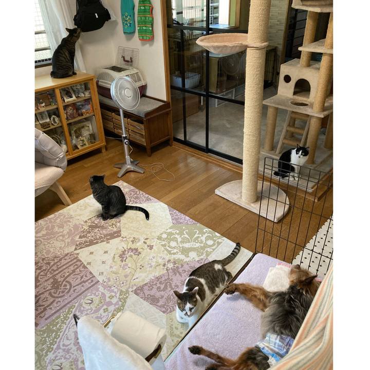 24938e0c c800 43cf 800c d8688537812f 1690031886975