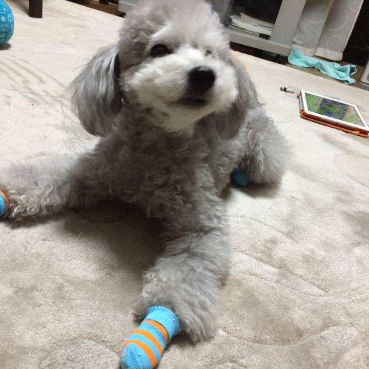 249391b8 d64f 4ff8 adc0 d604b7878722 1741046885309