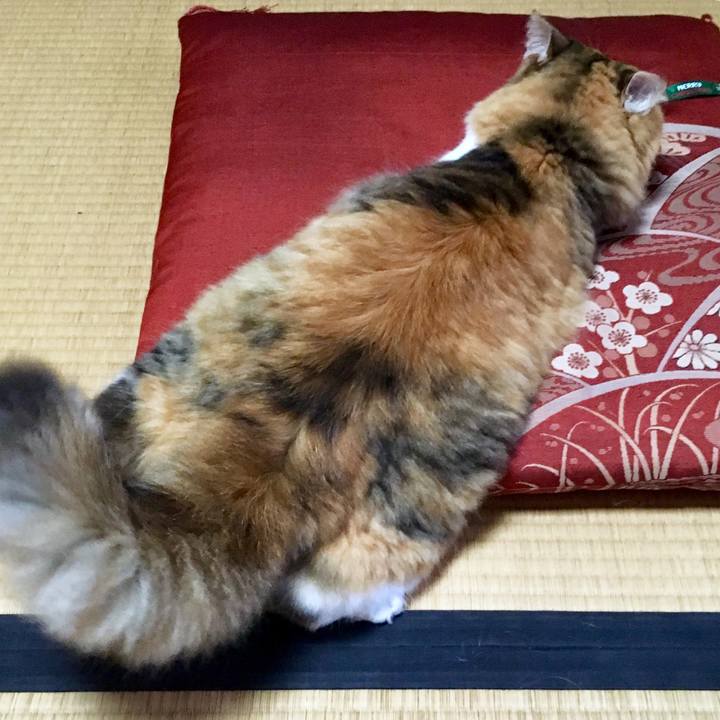 249413c5 4827 45ef aac4 fa9846f0ea86 1568180974368