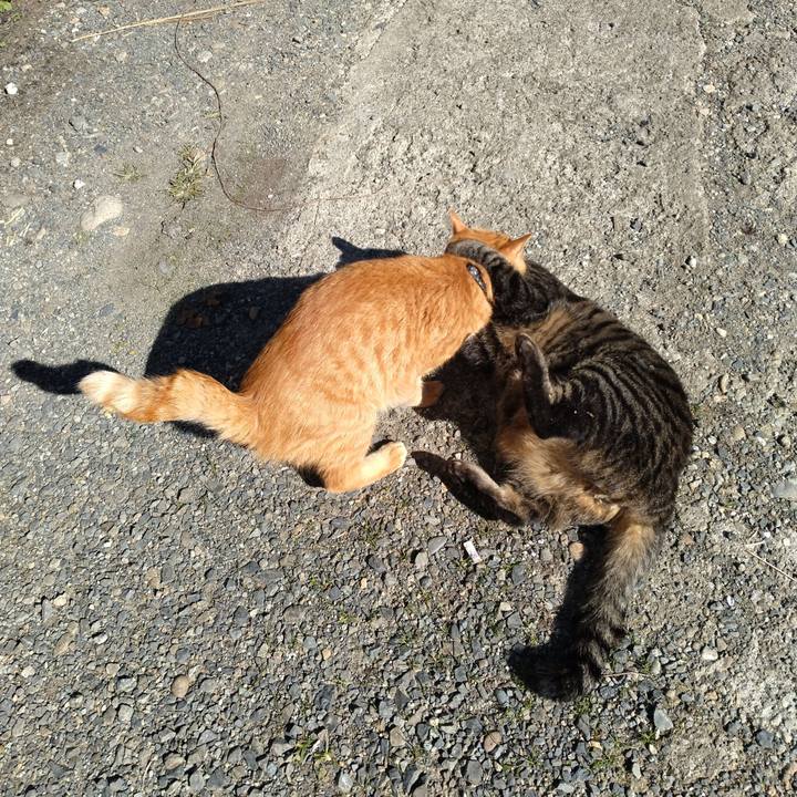 249418d4 4ab8 4236 a095 6e3ff3582bc8 1666758417513