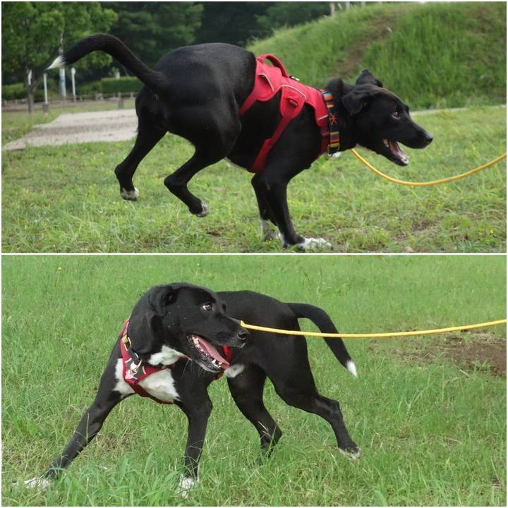 2494228a 9f84 4a11 a38e f3d84e6717f2 1591402615107