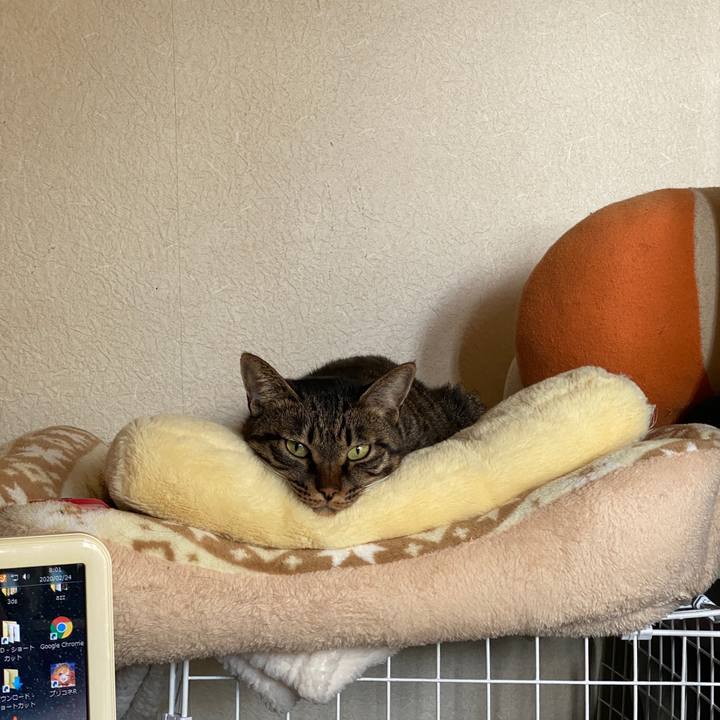 249472ec 59f4 4476 846f 41f8ec0eb501 1582498962437