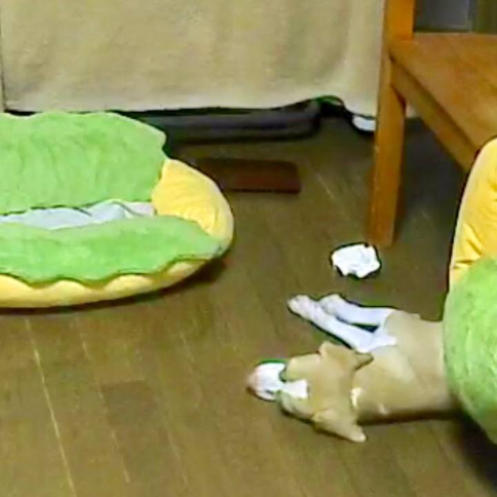 24947585 10a5 4ba2 b724 04ddd5e54d60 1530106922416