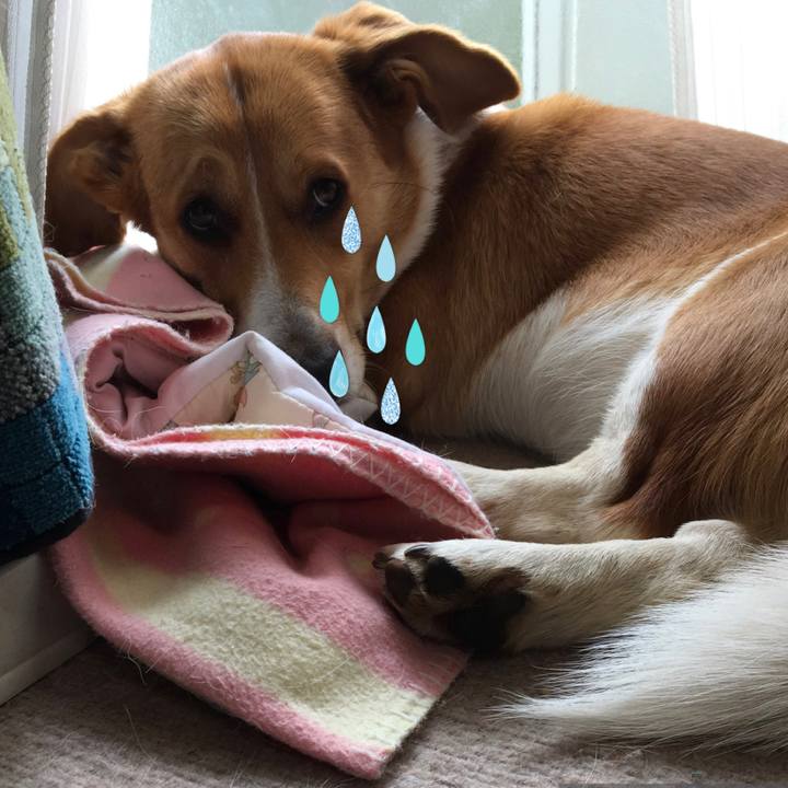 24947608 dcaf 41c4 8f0c aff2c8a6c6f0 1616573676471