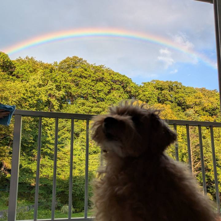 24947abb efd0 4a6b 953f b57c60851438 1758489127017