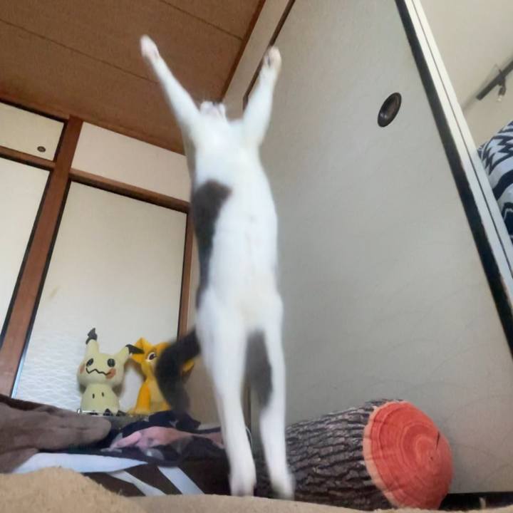 249485e1 e68b 41e6 8e70 82cafa3e69c1 1736923382503