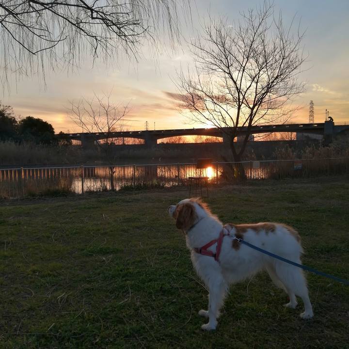 249487b9 6fc5 4c6e abdf c009c2dc2283 1612526306200