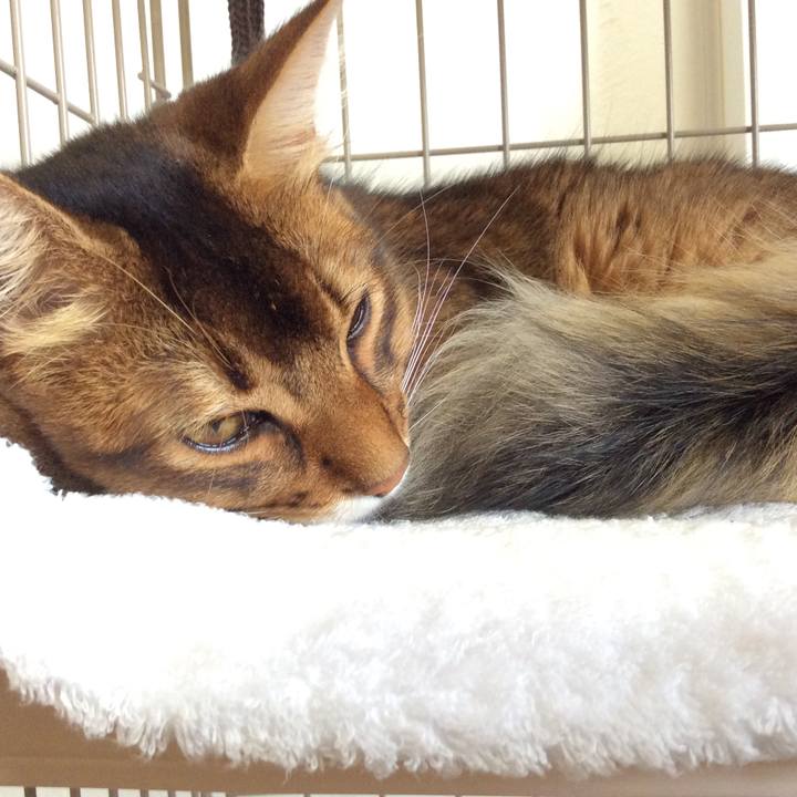 2494bdbc f207 438d aa11 bb533db22094 1567139350200