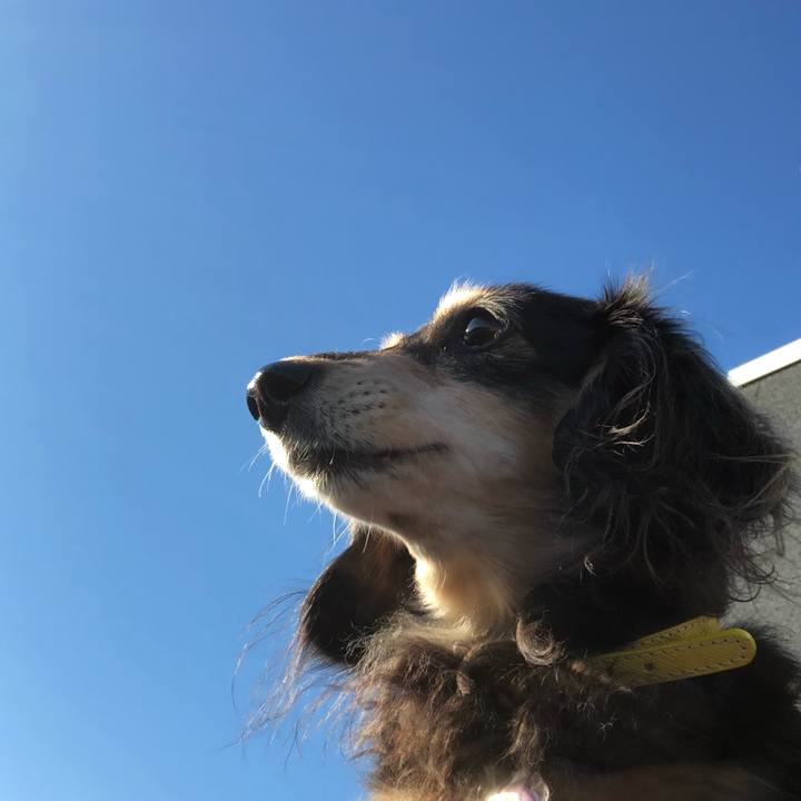 2494ff96 bedc 40a0 9e5f 54e8e94bac5e 1610150120506