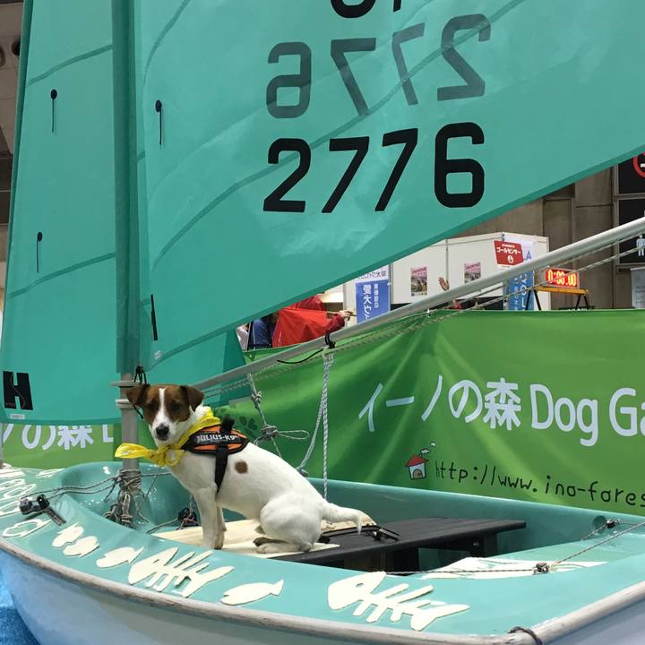 24950a1a 8d04 4a5c a2c6 505d02bdd93c 1522550721892