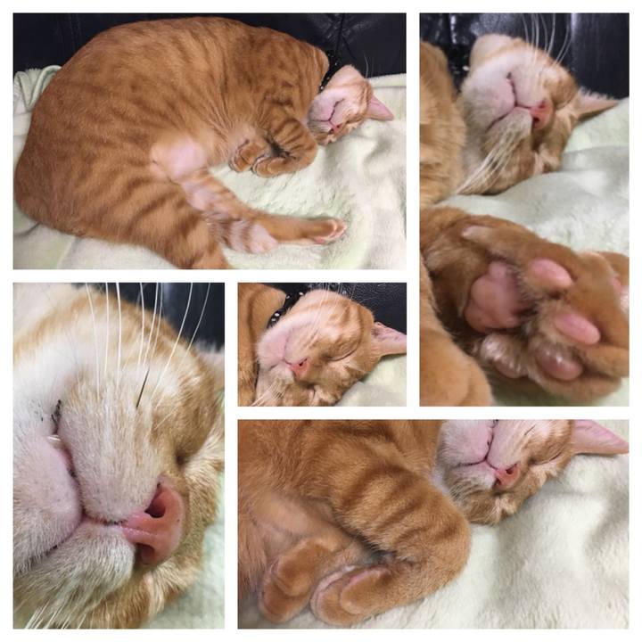 24950b21 e94a 46ce be57 8d43f5c091e6 1538828197181