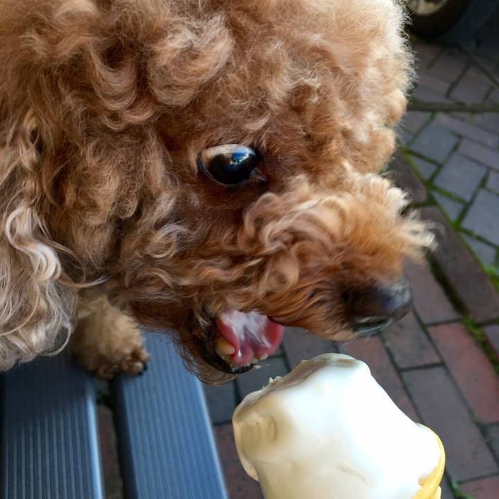 24951107 91a9 413a b509 66c4dc13a028 1601649515586