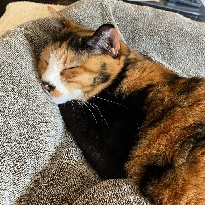 249529c8 8597 43a3 b7ff dc25afc1ebb0 1590066520443