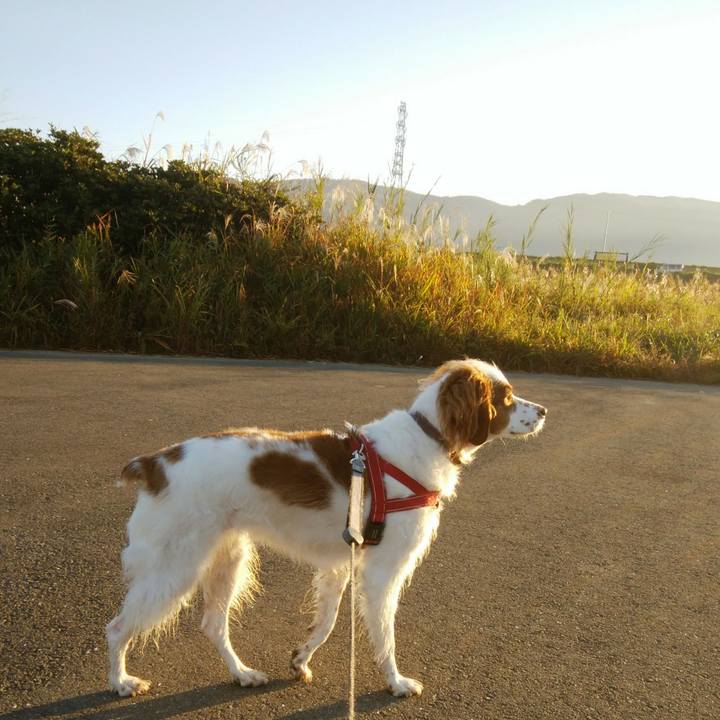 249585d0 336d 4ec3 aa19 bfa5828a305c 1542329869797