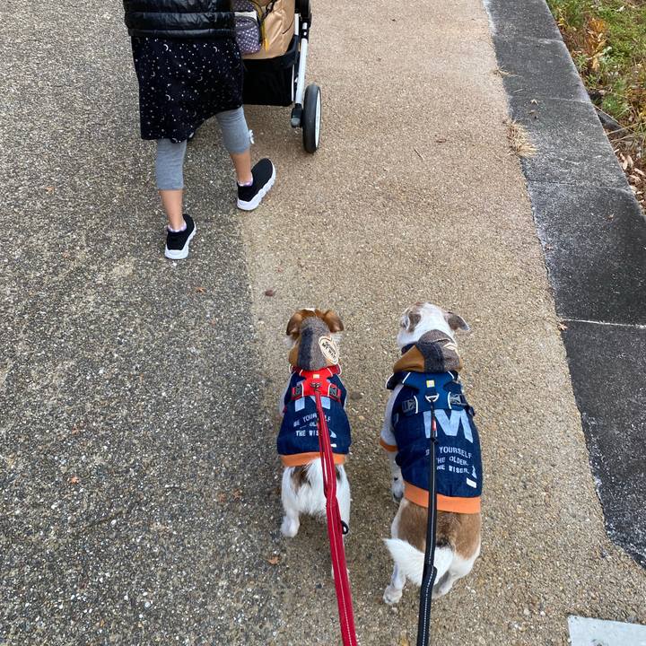 2495beb2 6555 497f b460 810ac27882e2 1639267925829