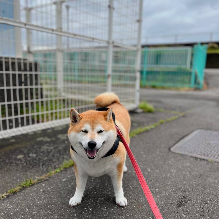 2495fc73 8457 49ed a178 d8cecc1c9936 1682826072689