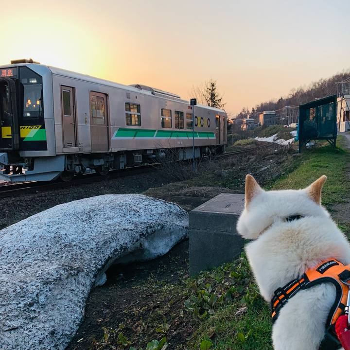 249614ee 3321 4e1a 8872 2ce119b2c247 1650487401649