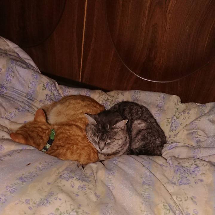 24961e1a b01a 4337 abc8 ed8dcc7f60c1 1582815512592