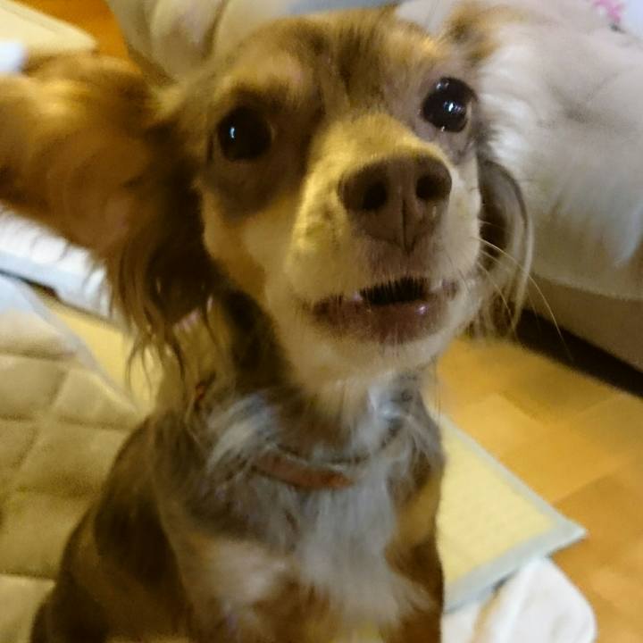 24963452 2630 4c6a ad40 3b3e9bd63480 1509795089732