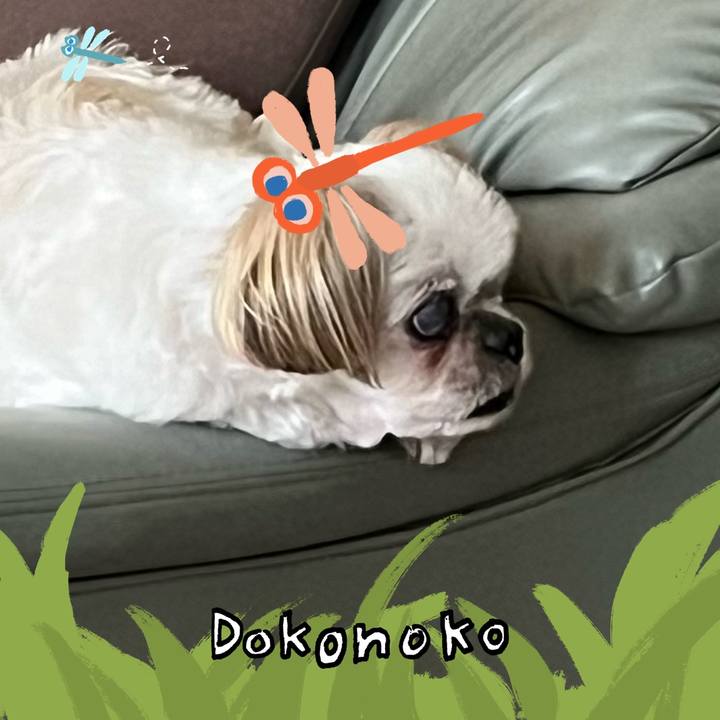 24968540 6fa5 4d4b 8310 d96f274a9be8 1726977860998