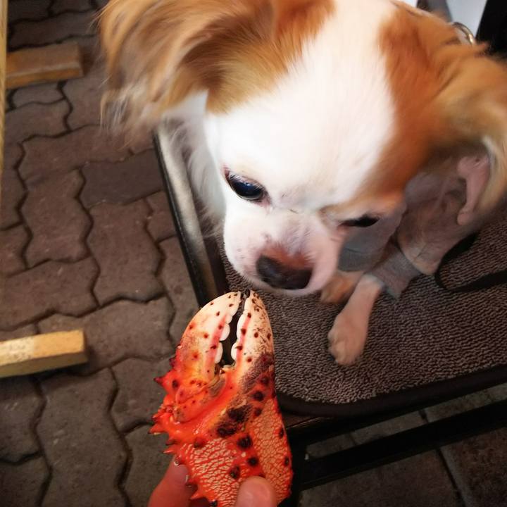 2496a800 a793 4e9a 85ae 3b3ba43bdfb4 1509001493197