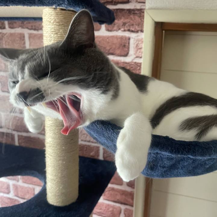 2496b011 53b9 46bd b425 2f4660a425d2 1624600823316