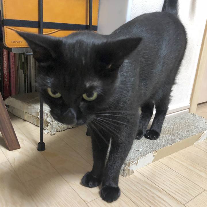 2496b7e2 a371 4fd6 a0af 90fbc5a93ae1 1602599285376