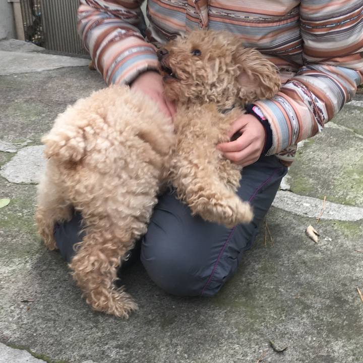 2496bfc3 dab9 4cab 8b3a b13d134af495 1513919350486