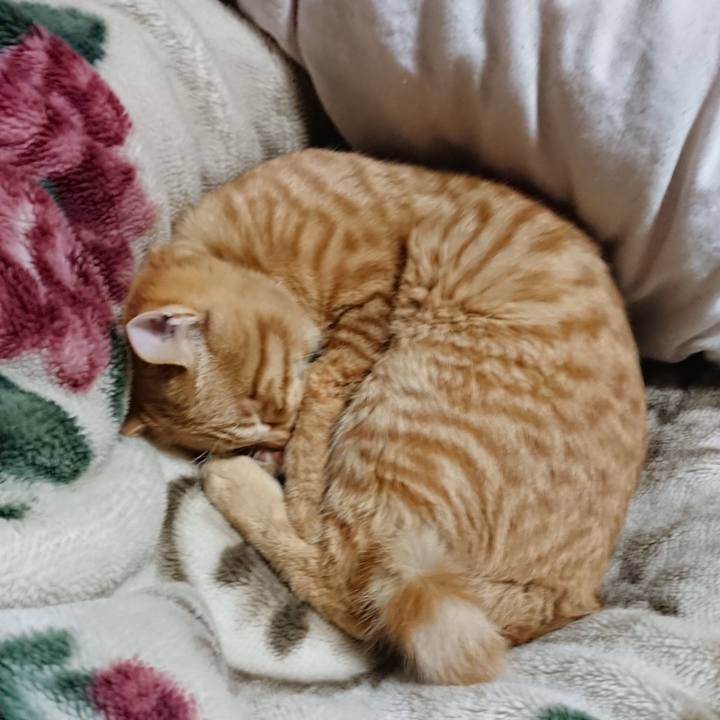 2496cc99 a3fc 4f65 abea e56ceaee63ba 1642595271351