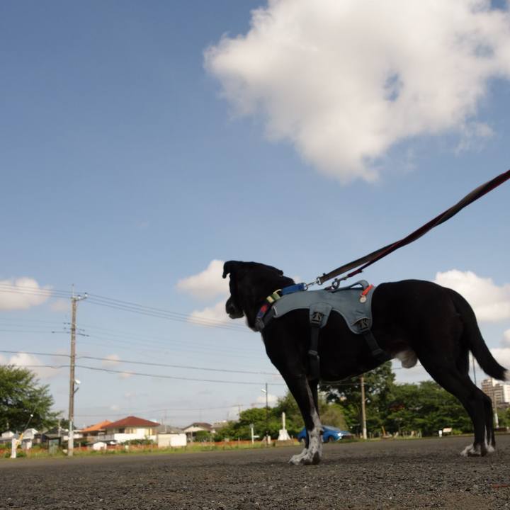 2496d64a e48e 4401 803d 07e89a8c0ff8 1717031487584