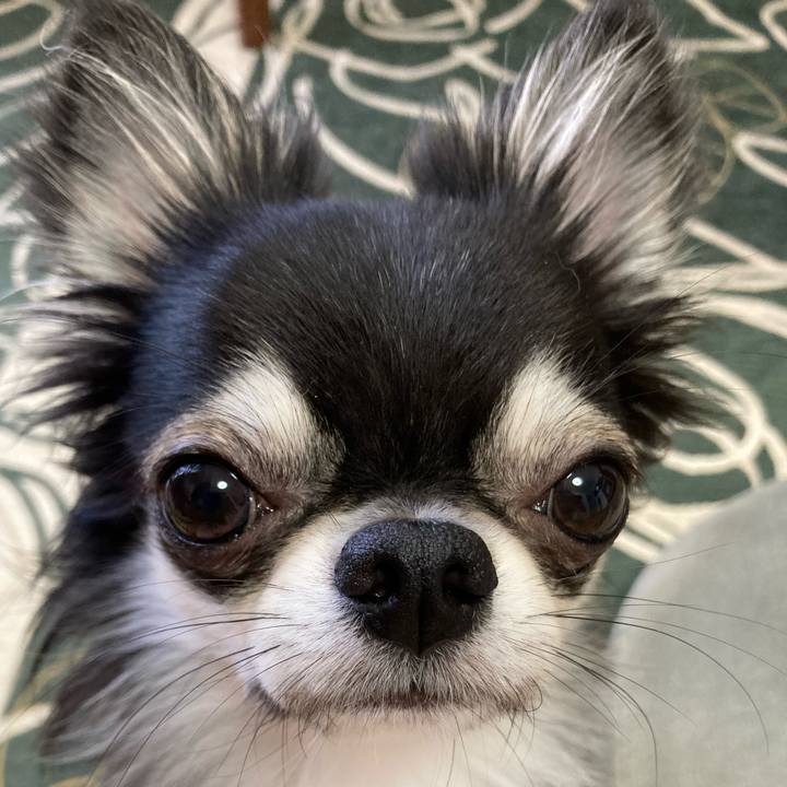 2496fd5a 46a8 4efd a4ed c08e34d6260f 1633822341029